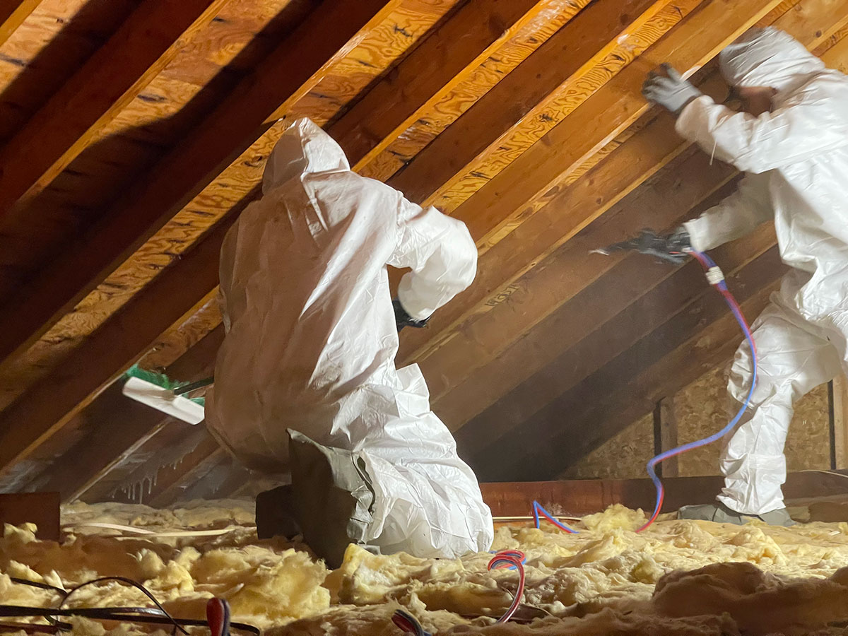 Mold Remediation Services in Spring Lake NJ
